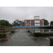 Visita a Aguas de Corrientes - 5to. Grado del Nivel Primario